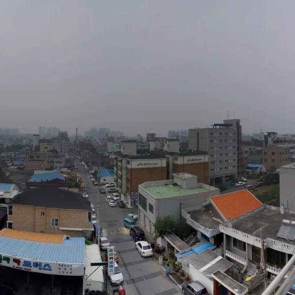 로열 리브살롱 테라피 안내 이미지