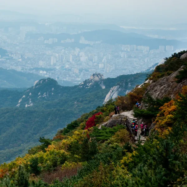 아로마 라비앙테라스 테라피 안내 이미지